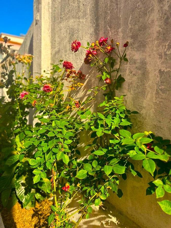 Lisabonna Guest House Amadora Zewnętrze zdjęcie